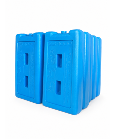Pain de glace eutectique ES-1000 – Lot de 10